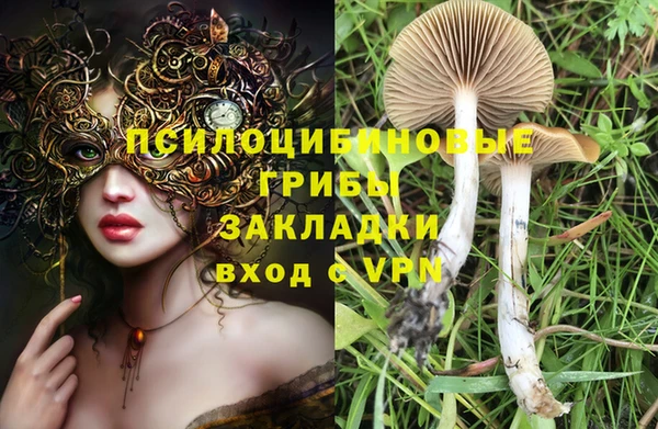 mdpv Зеленокумск