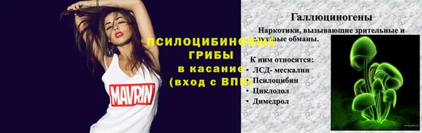 трава Зеленодольск